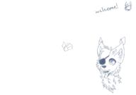  // 910x640 // 48.9KB