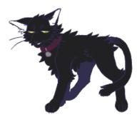  // 242x207 // 17.9KB