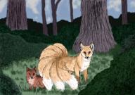  // 910x640 // 776.4KB