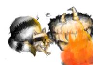  // 910x640 // 668.4KB