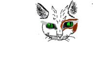  // 910x640 // 49.5KB