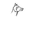  // 910x640 // 29.8KB