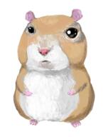  // 216x273 // 60.5KB