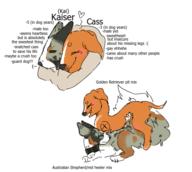  // 502x449 // 60.7KB