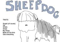  // 910x640 // 81.5KB