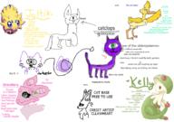  // 910x640 // 255.0KB