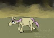  // 910x640 // 223.5KB