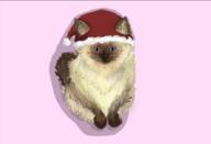  // 410x279 // 86.5KB