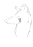  // 376x532 // 29.0KB