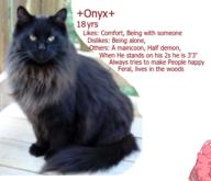  // 340x292 // 143.8KB