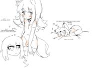  // 910x640 // 88.0KB