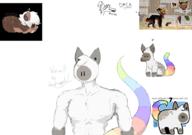  // 910x640 // 206.8KB