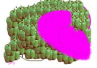  // 910x640 // 495.5KB