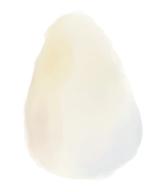 tagme // 246x303 // 30.3KB