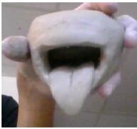  // 177x167 // 48.9KB