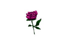  // 910x640 // 56.4KB