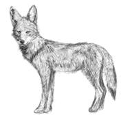  // 522x477 // 129.8KB