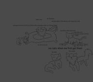  // 682x604 // 55.3KB