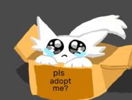  // 443x337 // 36.5KB