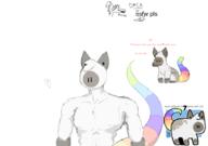  // 910x640 // 78.9KB