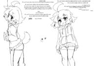  // 910x640 // 65.9KB