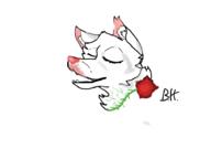  // 910x640 // 76.0KB