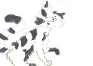  // 350x248 // 39.1KB