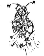  // 161x202 // 11.3KB