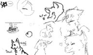  // 900x540 // 55.6KB