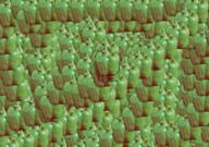  // 910x640 // 423.7KB