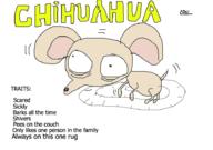  // 910x640 // 48.5KB