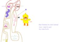  // 910x640 // 52.7KB