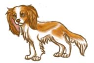  // 216x144 // 36.4KB