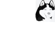  // 910x640 // 83.6KB