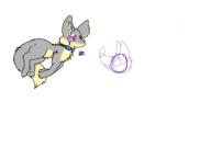  // 910x640 // 45.9KB