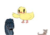  // 910x640 // 147.6KB