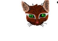  // 910x640 // 74.6KB