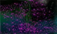  // 900x540 // 622.9KB