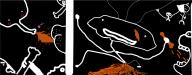  // 1012x399 // 126.5KB