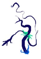  // 243x346 // 10.6KB