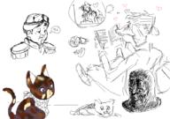  // 910x640 // 143.0KB