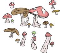  // 250x221 // 36.4KB