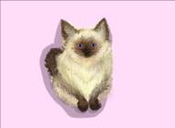  // 403x297 // 80.3KB