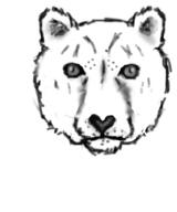  // 316x379 // 48.7KB