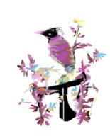  // 279x346 // 69.8KB