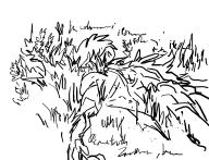  // 576x441 // 95.4KB