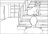  // 904x637 // 41.5KB