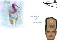  // 910x640 // 467.2KB