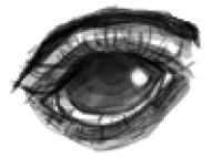 eye // 100x74 // 7.3KB