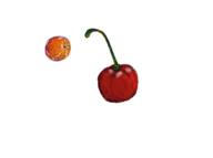  // 555x412 // 39.1KB